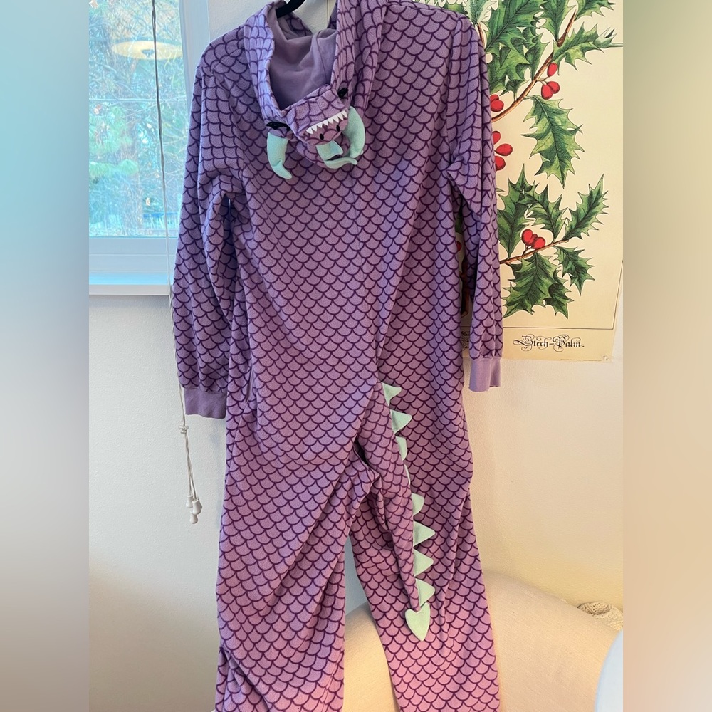 Dragon onesie